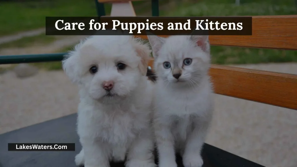 Weston Lakes Animal Hospital