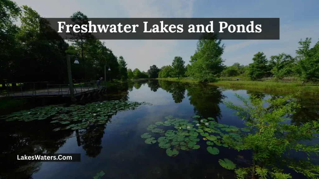 Hilton Head Lakes