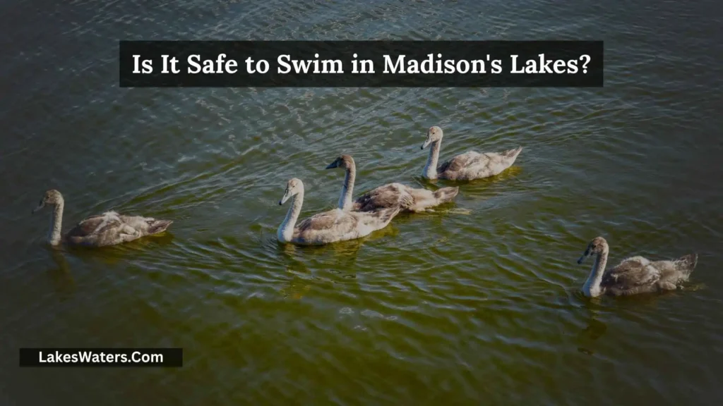 Madison Lakes