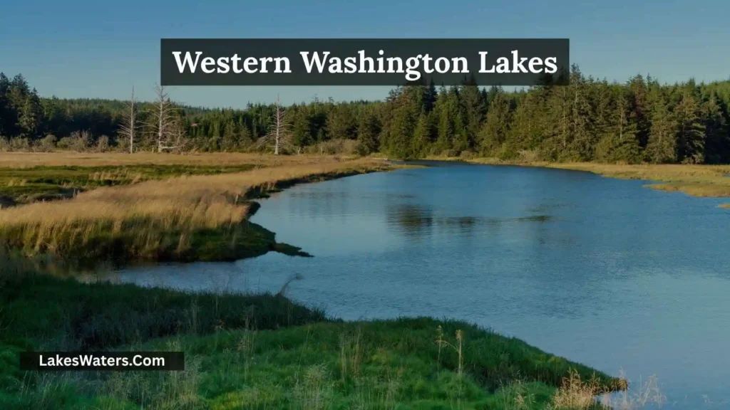 Washington Lakes