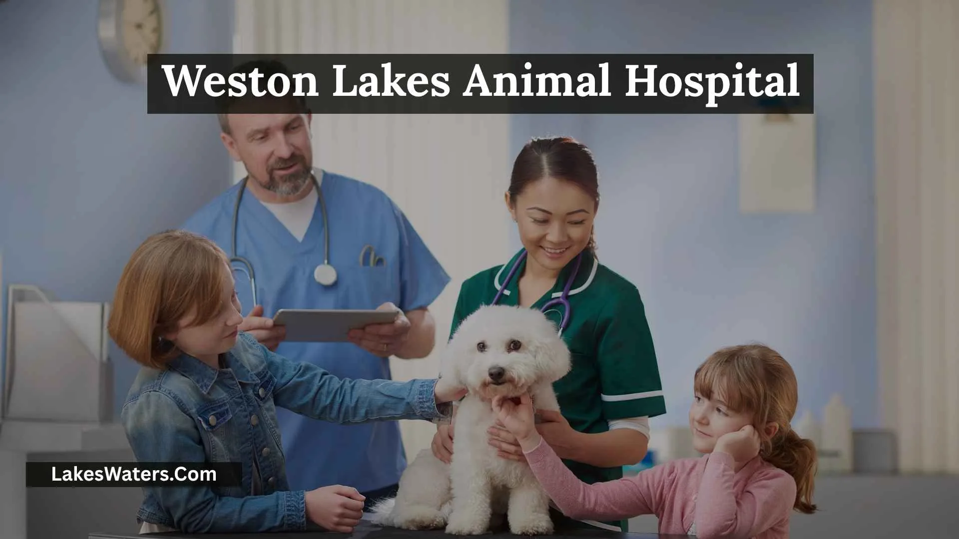 Weston Lakes Animal Hospital: Complete Pet Care Guide