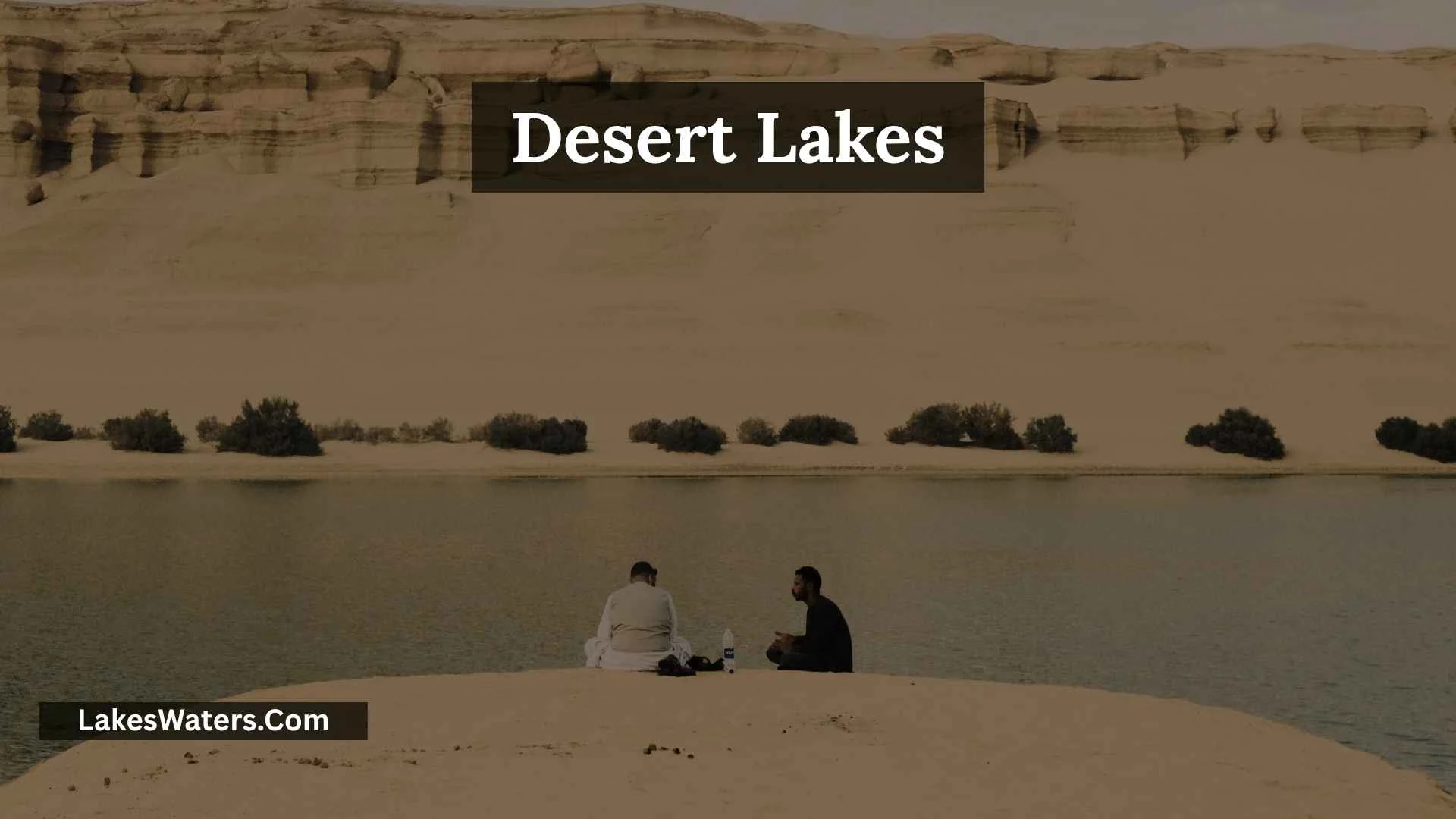 Desert Lakes: Hidden Beauty, Wildlife, and Natural History