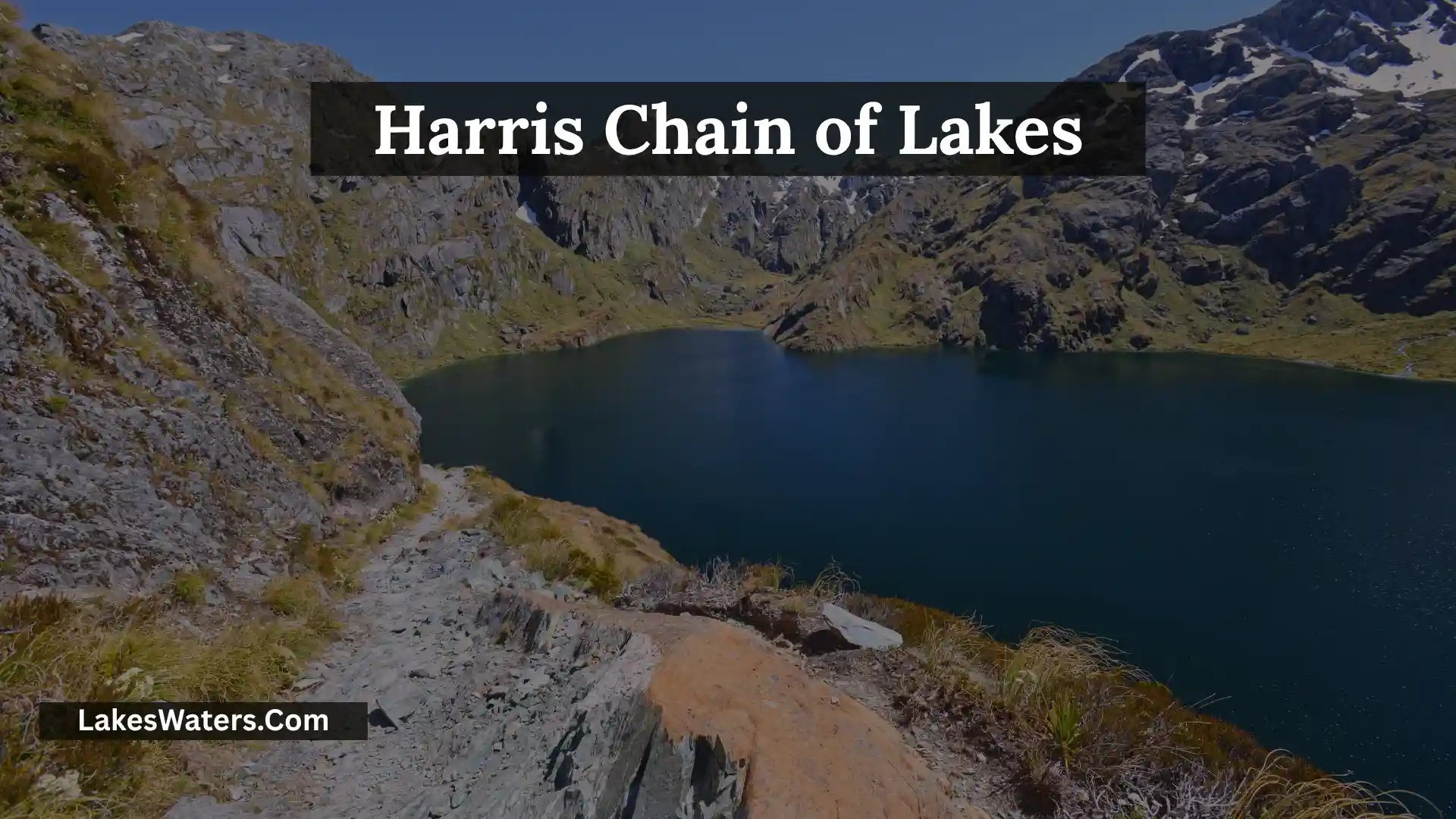 Harris Chain of Lakes: Essential Tips for Beginners