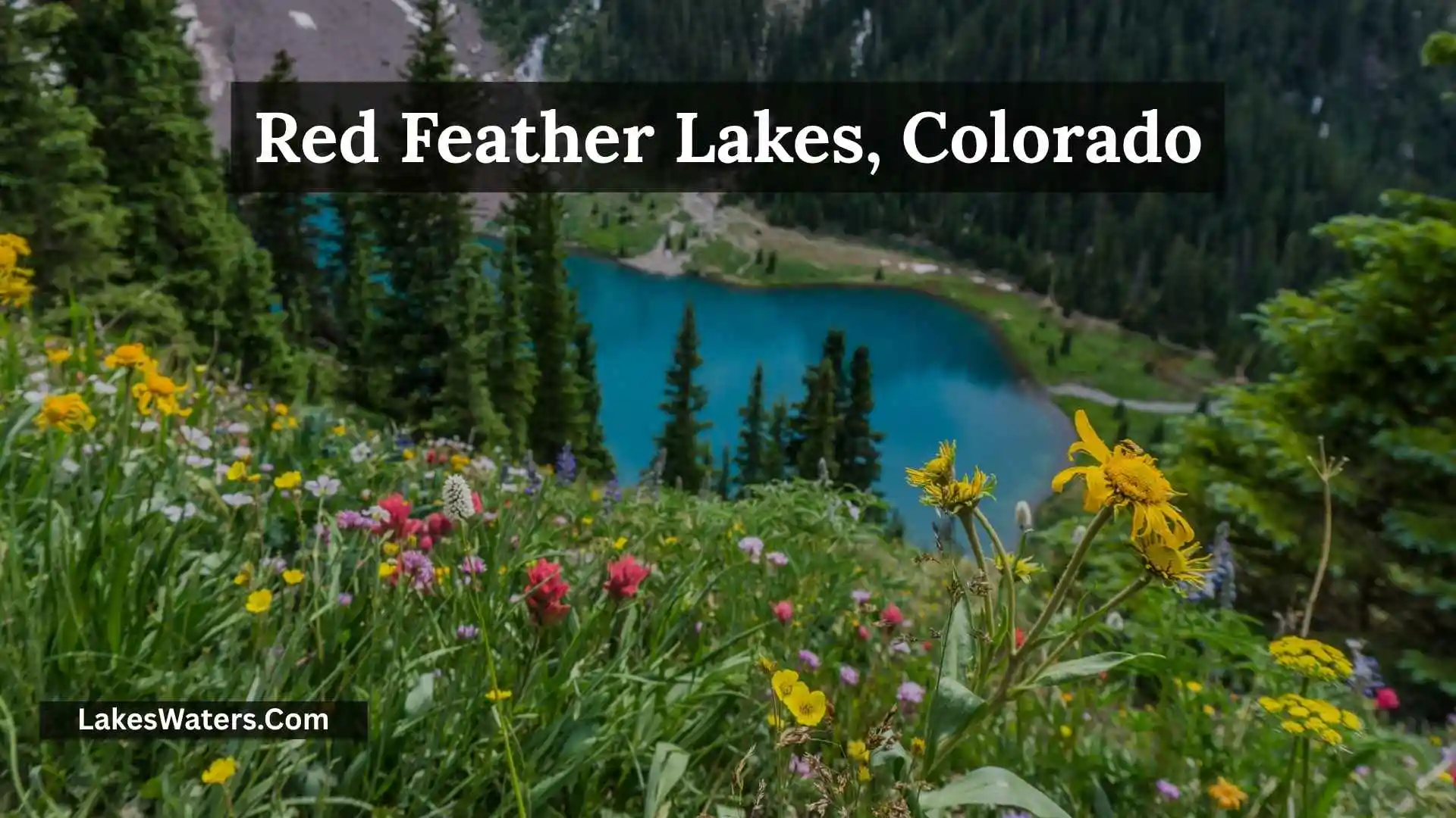 Red Feather Lakes Colorado: Best Time to Visit and Explore 